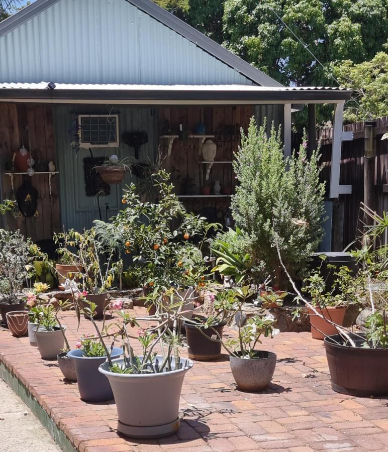 Jds Tropical Stays Cairns Bagian luar foto